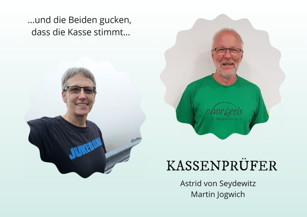 Kassenprüfer